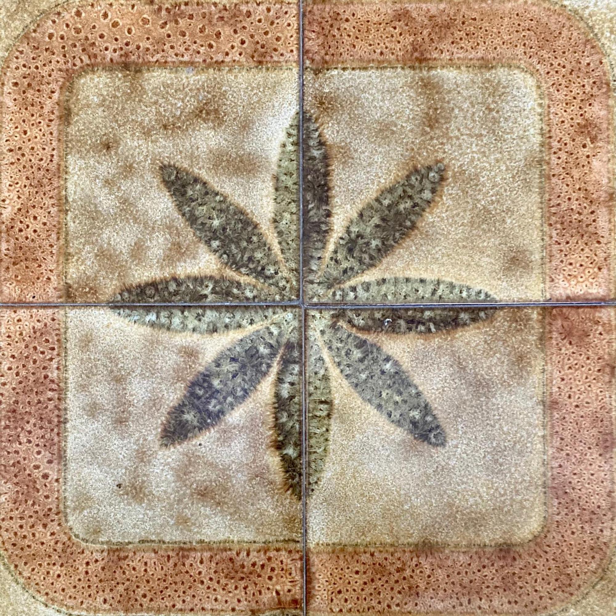 加拉蒂纳Casarte别墅 外观 照片